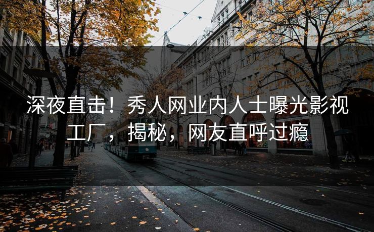 深夜直击！秀人网业内人士曝光影视工厂，揭秘，网友直呼过瘾